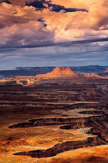 Green River overlook, at Canyonlands National Park, Moab, Utah Calendar Pictures, Canyonlands National Park, Devon England, Moab Utah, Green River, Utah National Parks, Bryce Canyon, Alam Yang Indah, Red Rock