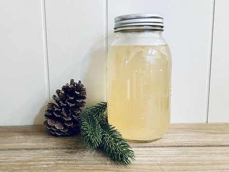 Pine Needle Vinegar Cleaner Recipe Vinegar Cleaner Recipe, Vinegar For Cleaning, Scented Vinegar, New Diy Ideas, Vinegar Cleaner, Diy Household Cleaners, Plastic Mason Jars, Useful Plants, New Craft Ideas