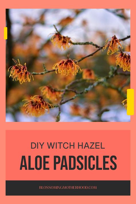 Find relief post-childbirth with our DIY Witch Hazel and Aloe Padsicles. Discover this easy and natural remedy for postpartum relief, offering soothing comfort that helps speed up recovery. These padsicles are simple to make with just a few ingredients right in your own home. Perfect for new moms seeking nursery relief, managing postpartum aches, or simply needing a little extra comfort Diy Witch Hazel, Diy Witch, Mom Essentials, Witch Diy, Postpartum Care, Postpartum Recovery, Natural Remedy, Newborn Care, Witch Hazel