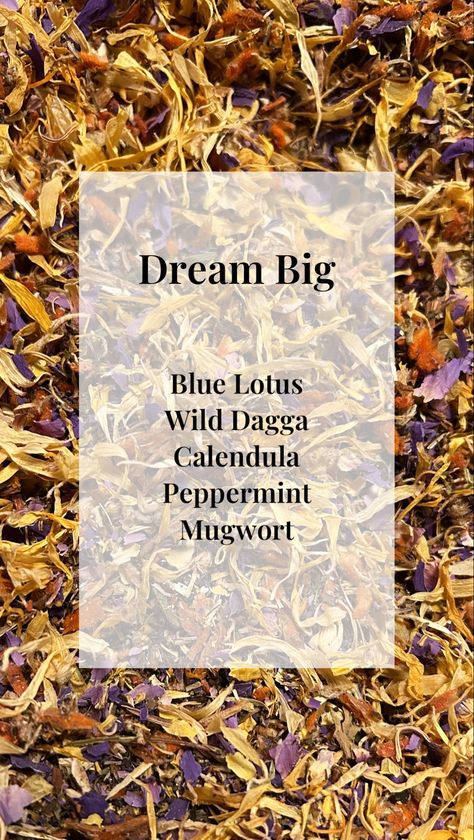 Be Right Back Babe Dream Big Herbal Tea Bags Dream Recall, Mood Enhancers, Herbal Teas, Lucid Dreaming, Muscle Relaxer, Before Bed, Mental Clarity, Tea Bags, Herbal Tea