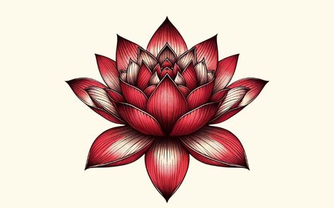 Red Lotus Tattoo, Red Lotus Flower, Lotus Tattoo Meaning, Lotus Flower Drawing, Flower Tattoo Stencils, Lotus Vector, Buddhist Iconography, Lotus Symbol, Love Spiritual