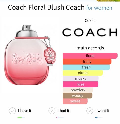 Coach Floral Blush, Blush Perfume, Musk Fragrance, Coach Floral, Fragrance For Women, Goji Berries, Wild Rose, Wild Roses, Women Fragrance