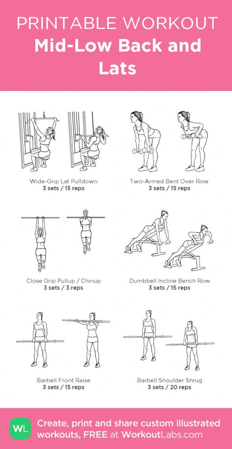 Mid-Low Back and Lats: my visual workout created at WorkoutLabs.com • Click through to customize and download as a FREE PDF! #customworkout #fitnesstraining Lats Workout, Lat Workout, Low Back Exercises, Chest Workout Women, Workout Labs, Printable Workout, Gym Workout Plan For Women, Reps And Sets, Muscle Abdominal