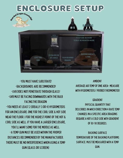 Baby Bearded Dragon Tank Setup, Diy Bearded Dragon Enclosure Decor, Diy Bearded Dragon Decor, Cute Bearded Dragon Tank, Bearded Dragon Enclosure Ideas, Bearded Dragon Tank Setup, Breaded Dragon, Diy Bearded Dragon Enclosure, Dragon Enclosure