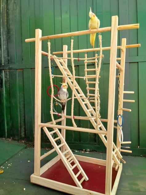 Bird Playground, Bird Play Gym, Big Bird Cage, Cockatiel Care, Parrot Play Stand, Homemade Bird Toys, Love Birds Pet, Cockatiel Toys, Diy Bird Cage