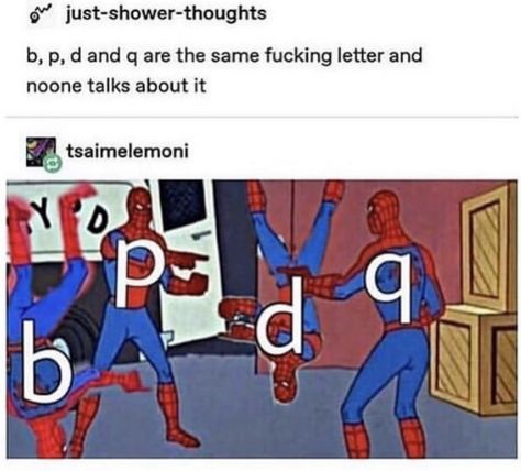 Shower Thoughts, Funny Tumblr Posts, The Spider, Chuck Norris, Really Funny Memes, Memes Funny, Tumblr Posts, Tumblr Funny, Popular Memes