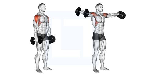 Lateral Raises Dumbbell, Dumbbell Deadlift Form, Dumbbell Rear Delt Raise, Dumbbell Lateral Raise, Rear Delt Fly Dumbbell, Dumbbell Shoulder Press, Front Raises, Lateral Raises, Shoulder Injuries