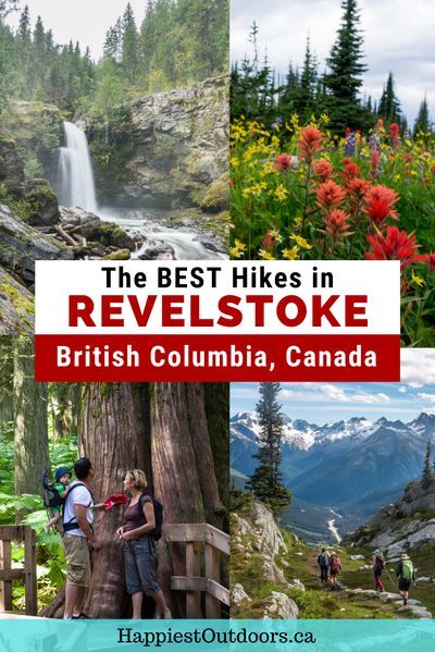 Hiking Canada, Mount Revelstoke National Park, Revelstoke Bc, British Columbia Travel, Hiking Trips, Canada National Parks, Canadian Travel, Van Build, Canada Road Trip