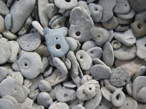 'Lucky Stones' : stones with naturally occurring holes found on the beaches of Lake Winnipeg around Gimli, Manitoba, Canada.  The majority of these are imprints and “negatives” of gastropods or snails. Lake Winnipeg, Canada Stone With Hole, Gimli Manitoba, Stone Buttons, Rock Identification, Cayuga Lake, Winnipeg Canada, Rocks And Fossils, Rock Hunting, Beach Finds