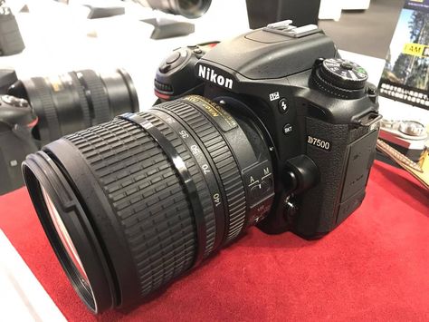 Nikon 7500, Digital Camera For Beginners, Nikon Camera Tips, Nikon D7500, Nikon D7200, Vr Lens, New Camera, Camera Straps, Camera Hacks