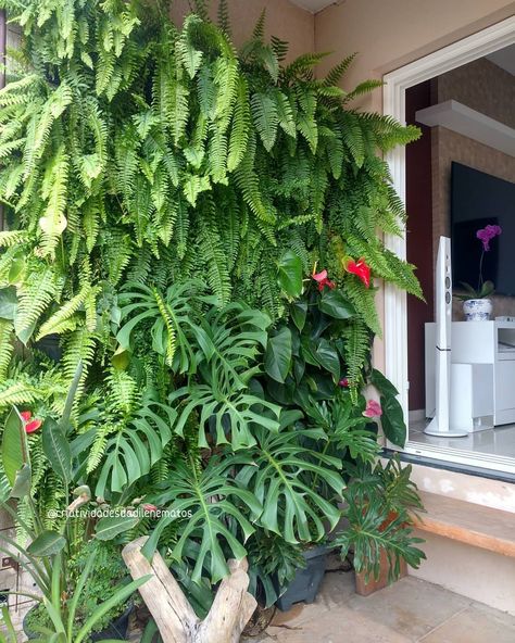 Vertikal Garden, Bali Garden, Vertical Garden Design, Ferns Garden, Tropical Garden Design, Tropical Backyard, Vertical Garden Wall, Backyard Garden Landscape, Vertical Garden Diy