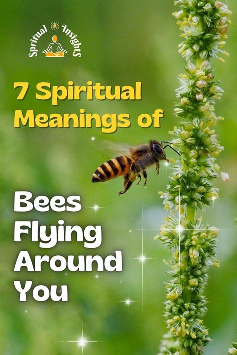 7 Spiritual Meanings of Bees Flying Around You Honey Bee Spiritual Meaning, What Do Bees Symbolize, Bumblebee Spiritual Meaning, Bumble Bee Meaning, Bumble Bee Spiritual Meaning, Bee Symbolism Meaning, Meaning Of A Bee, Bumble Bee Symbolism, Meaning Of Bees