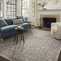 Jean Stoffer, Coral Area Rug, Ocean Rug, Katherine's Collection, Inspire Me Home Decor, Amber Interiors, Rug Direct, Magnolia Homes, Neutral Palette