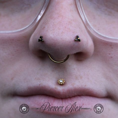 🌙Alexandra | Professional Piercing☀️ | Forward Facing Nostril Pair AKA Mantis Piercing's 🪲💛 I love the challenge of pairing nostril piercings & performing forward facing… | Instagram Mantis Piercing, Septum Stack, The Challenge, Piercings, I Love, Instagram