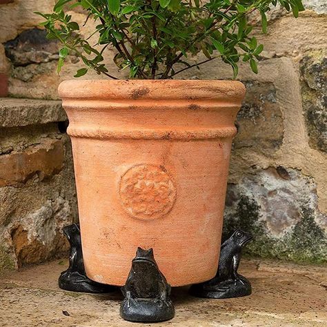 PRICES MAY VARY. Lifelike Animal Statues plant standpipe - Each package contains 3 independent pot feet,our animal statue plant pot feet can support flower pots of any size to improve drainage, air circulation, help promote healthier plants, and promote plants to have a healthy root system. Good compatibility - Let the flowerpot stand firmly on your floor.Display a group of planter pot feet indoor for an impressive focal point, or keep it neat and chic with a single stand in the corner of a room Flower Pot Holder, Small Potted Plants, Animal Statues, Resin Material, Tiny Flowers, Outdoor Planters, Animal Figurines, Healthy Plants, Plant Pot