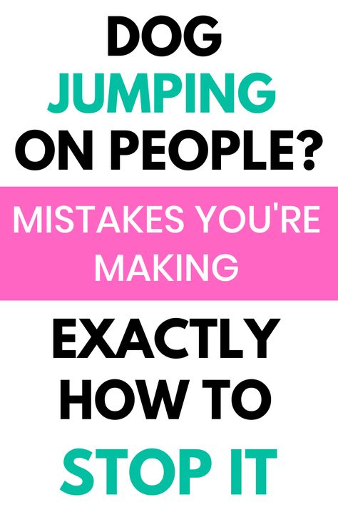 Stop dog jumping up Dogs Jumping, Training A Puppy, House Guests, Dog Behavior Problems, Loving Animals, Dog Training Techniques, Aggressive Dog, Behavior Problems, Dog Biting