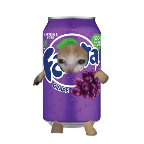 Grape Meme, Grape Fanta, Cat Crying, Ugly Cat, Food Memes, Funny Pix, Silly Cats Pictures, Cat Costumes, Cat Aesthetic