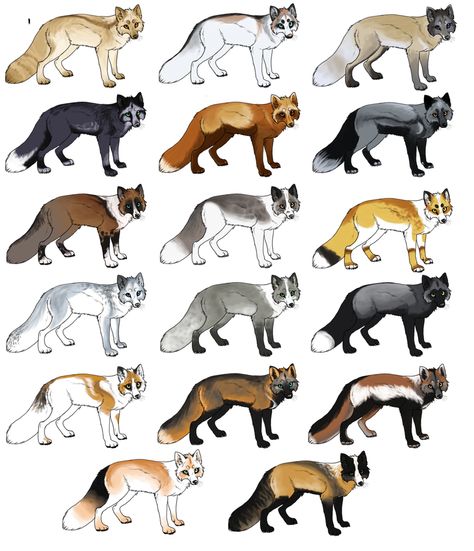 Fox adoptable's 4 and 6 are mine so is 10,11 and 12 they are mine Different Types Of Foxes, Fox Markings, Animal Genetics, Fox Species, Cross Fox, Gold Fox, Fox Drawing, Friends List, Fox Illustration