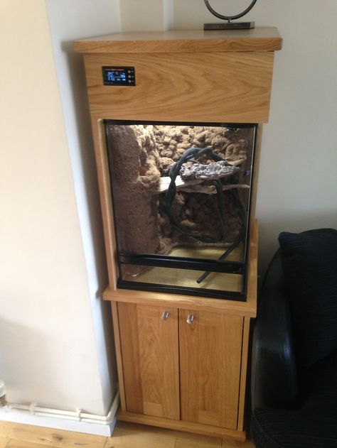 Red Eye Tree frog terrarium build - Reptile Forums