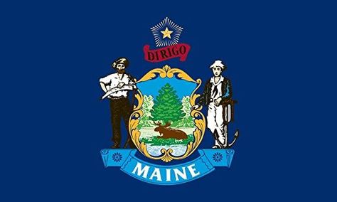 America's Flag Company SF4X6NOME1 4-Foot by 6-Foot Nylon Maine State Flag with Canvas Header and Grommets Maine Flag, Souvenir Display, Maine State, Chicago Flag, Flag Coloring Pages, Cycle 3, America Flag, Outdoor Products, State Flags