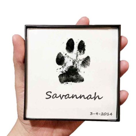 Paw Print Art, Pet Paw Print, Pet Paws, Large Dog Breeds, Stamp Pad, Ink Pad, Dog Paws, Tampon, Cats Dogs