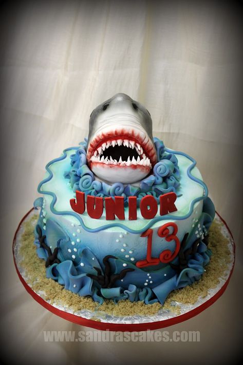 Shark Birthday Cake, Birthday Cake Happy Birthday, Shark Birthday Cakes, Cake Happy Birthday, New Birthday Cake, Shark Cake, Shark Birthday Party, Themed Birthday Cakes, Shark Birthday