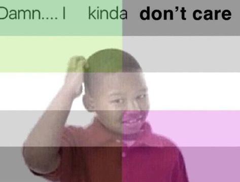 I Kinda Dont Care, Asexual Humor, Ace Pride, Lgbtq Funny, Gay Memes, Dont Care, Lgbt Pride, I Feel Good, Reaction Pictures