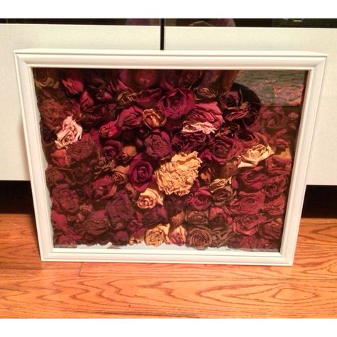 Decided to put some of the roses my fiancé got for me over the past 11 years together in a shadow box.  Love the outcome!! #diy #craft #driedroses Roses In Frame, Rose Shadow, Diy Rose, Frame Diy, Diy Roses, Shadow Boxes, In Frame, Shadow Box, The Past