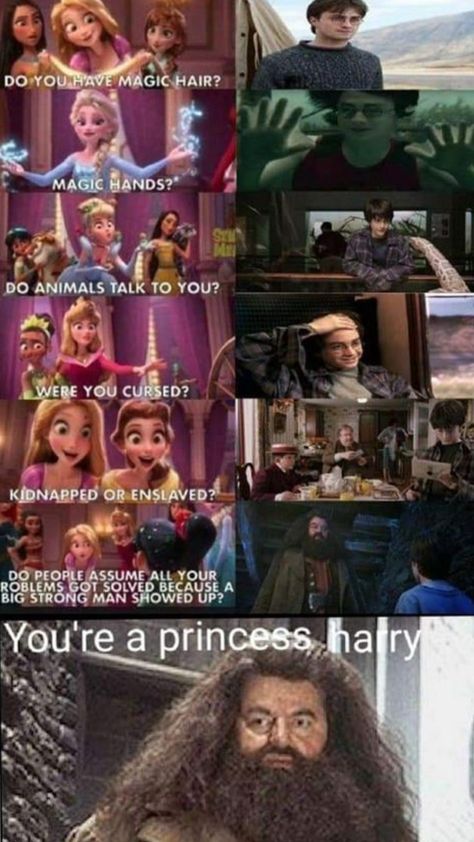 Funny Lotr, Harry Potter Funny Pictures, Princess Harry, Funny Harry Potter, Harry Potter Bedroom, Harry Potter Background, Funny Harry Potter Jokes, Harry Potter Memes Hilarious, Harry Potter Puns