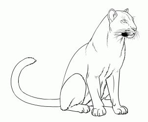 how to draw panthers, black panthers step 15 Black Panther Drawing, Panther Images, Pink Panther Cartoon, Easy Animal Drawings, Panther Art, Black Panther Art, Valentines Day Coloring Page, Rainforest Animals, Easy Cartoon Drawings