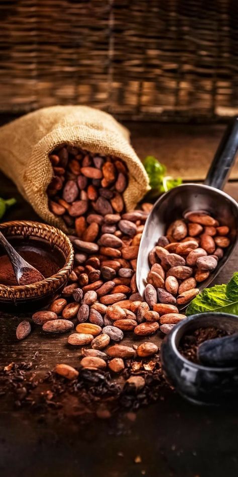 Beans Photography, Coffee Beans Photography, Cocoa Beans, Cacao Beans, Coffee Photography, Coffee Chocolate, About Coffee, Great Coffee, Love Coffee