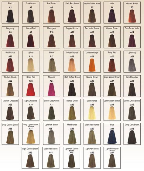 Berina Hair Color, Brown Things, Rough Hair, Lighter Hair, Hair Color Chart, Hair Color Cream, Vintage Hair Combs, Dark Brown Hair Color, Permanent Hair Dye