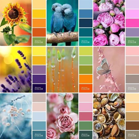 4 Colour Combinations, Vivid Color Palette Colour Schemes, Fairytale Colour Palette, Color Palette For Coloring, Mandala Color Palette, Flower Colour Palette, Colour Wheel Combinations, 9 Color Palette, Pretty Color Palette