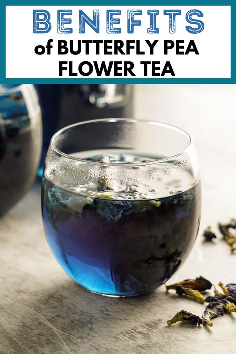 Butterfly Sweet Pea Tea Benefits, Blue Pea Flower Tea, Benefits Of Butterfly Pea Tea, Butterfly Blue Pea Flower, Butterfly Pea Tea Benefits, Blue Pea Flower Recipes, Butterfly Pea Powder Recipes, Butterflypeaflower Tea, Butterfly Pea Flower Tea Recipe