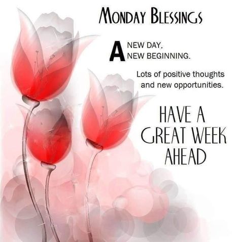 A new day, a new beginning. Lots of positive thoughts and new opportunities. Have a great week ahead Quotes For A New Week, Week Ahead Quotes, Happy Monday Pictures, Mother's Day In Heaven, Monday Pictures, Good Morning Facebook, Sunday Greetings, Monday Blessings, Have A Great Week