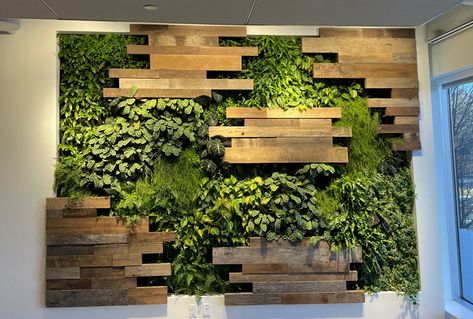 Green Walls - Parker Plants & Holiday Green Wall Plants, Living Wall Planter, Artificial Grass Wall, Garden Wall Designs, Indoor Plant Wall, Stone Wall Design, Hanging Plant Wall, Artificial Foliage, Green Walls