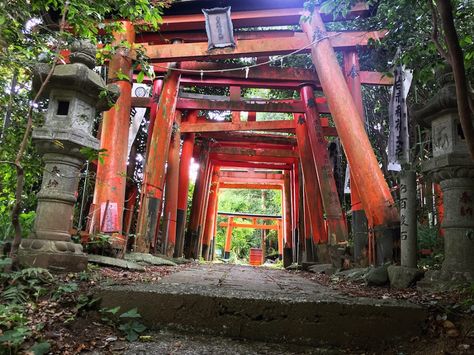 Somewhere off the beaten path…well off the beaten path… lie the remains of a dilapidated Inari shrine in the hills near the Yokosuka Base. Shrine Japanese, Acnh Shrine, Japanese Shrine, Japanese Temple, Asian Architecture, Chroma Key, Bird Artwork, Vintage Cartoon, Japan Travel