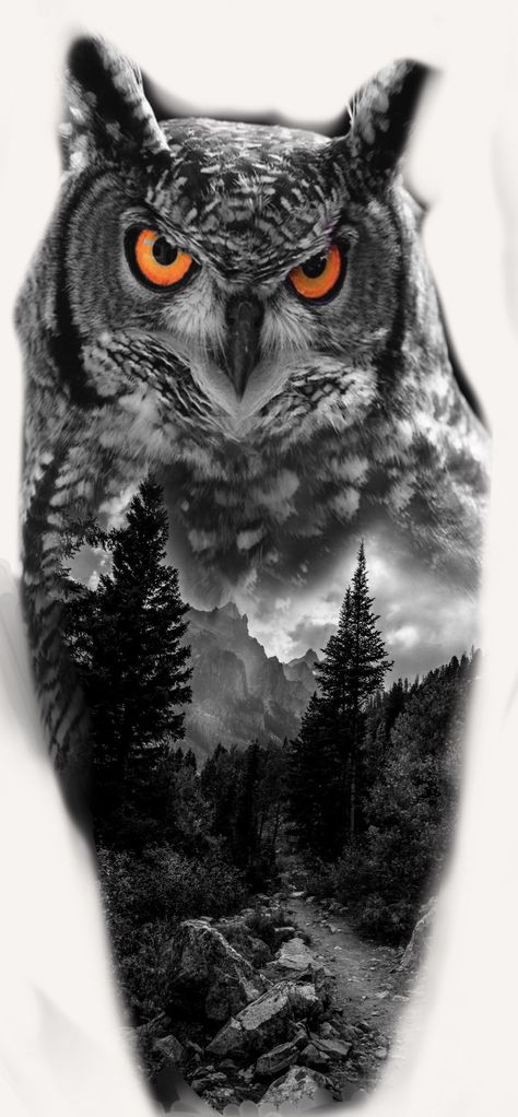 Owl Forest Tattoo Design, Realism Owl Tattoo Design, Owl Lion Tattoo, Owl Nature Tattoo, Owl Forest Tattoo, Lion And Owl Tattoo, Forrest Tattoo Designs, Owl And Wolf Tattoo, Owl Arm Tattoo