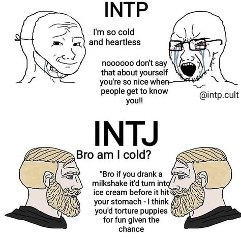 Intp Intj Memes Funny, Types Of Intj, Intj T Personality, Mbti Intp Meme, Intj Memes Humor, Intj And Intp Relationships, Enfp X Intj Meme, Intj And Intp Funny, Intp Intj Relationship