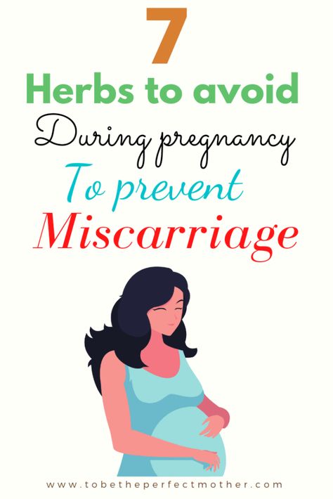 Herbs To Avoid During Pregnancy, Natural Birth Control Herbs, Holistic Pregnancy First Trimester, Early Pregnancy Diet, Healthy First Trimester, Pregnancy Trimester Chart, Early Pregnancy Exercise, Herbs For Pregnancy, Pregnancy Herbs