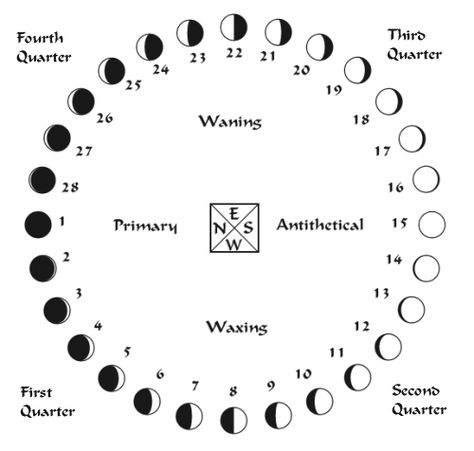 W B Yeats, The Phases Of The Moon, Moon Phase Calendar, Moon Journal, Occult Symbols, Moon Calendar, Pocket Calendar, Lunar Phase, Phases Of The Moon