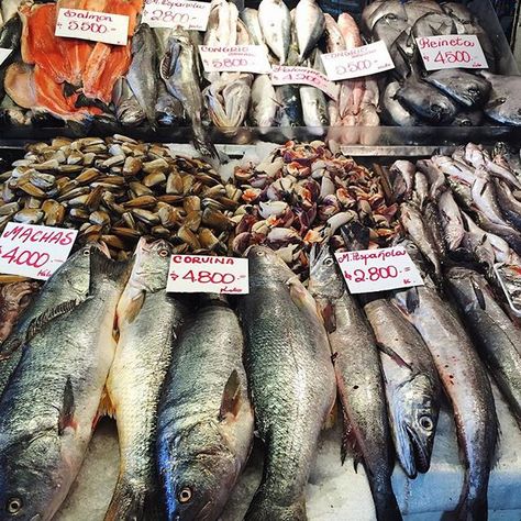 Lots of fish at the Mercado Central. #ka_onlocation Fish Market Drawing, Fish Butchery, Brixton Market, Fish Monger, Parrot Fish, Raw Meat, Central Market, Market Square, Fish Market