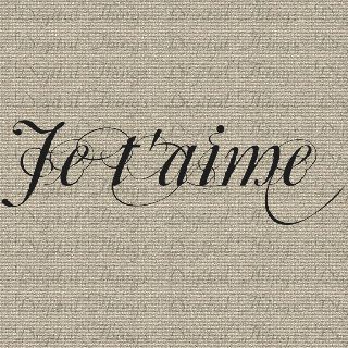 Valentines Wall Decor, Valentines Quote, French Love Quotes, French Manor, Nomadic Life, Fabric Pillows, Paris Bedroom, Romantic Wallpaper, French Script