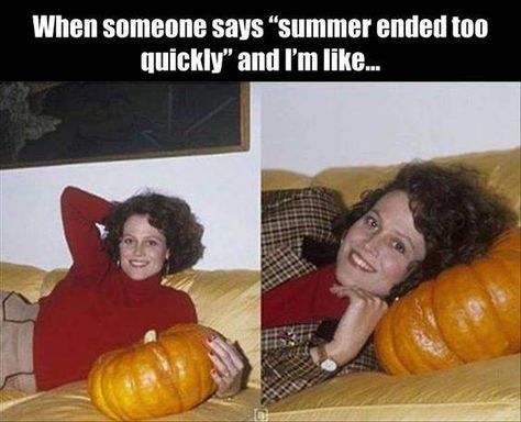 This has to be Sigourney Weaver. Pumpkin Meme, Fall Memes, Sigourney Weaver, Pumpkin Spice Season, Beauty Guru, End Of Summer, A Pumpkin, Horror Films, Tumblr Posts