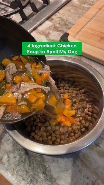 Open Farm Pet on Instagram: "Chicken soup DUPE…for dogs 😂 ⬆️ During these cold winter months, your dog will love this warm collagen-rich bowl💚 @ontariohuskies" Chicken Soup For Dogs, Soup For Dogs Recipe, Chicken Soup For Dogs Recipe, Soup For Dogs, Soup For Sick, Dog Soup, Sick Dog, Healthy Dog Food Recipes, Dog Recipes