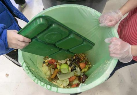 California tackles food waste with largest recycling program in US | California | The Guardian Food Waste Recycling, Waste Recycling, California Food, Food Donation, Recycling Process, Food Pack, Join Hands, Food Scraps, Food System