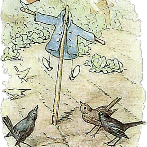 MR MCGREGOR HUNG PETER RABBIT'S JACKET AND SHOES ON THE SCARECROW Fairy Mannequin, Scarecrow Garden, Peter Rabbit Illustration, Scarecrow Ideas, Mr Mcgregor, Beatrix Potter Illustrations, Beatrice Potter, Garden Goddess, Tale Of Peter Rabbit