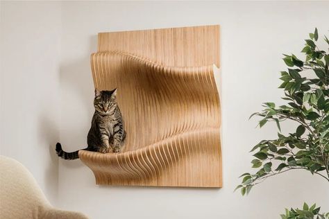 Luxury Cat Tree, Luxury Cat Furniture, Cool Cat Trees, Modern Cat Furniture, Modern Cat Tree, Cat Wall Furniture, Cat Towers, Cozy Cat, Wall Furniture