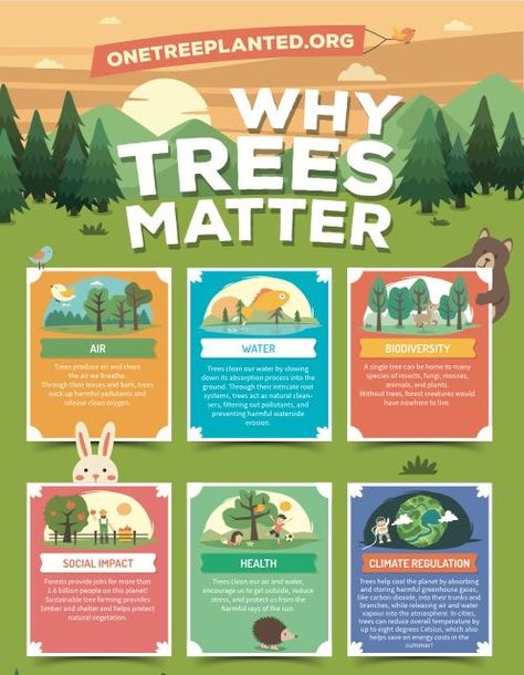 Importance Of Trees, Infographic Layout, Infographic Inspiration, Info Board, Infographic Design Layout, Graphic Design Infographic, Infographic Poster, 카드 디자인, Poster Layout