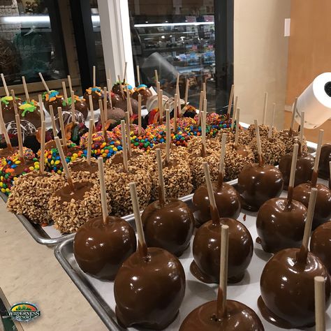 If you love sweets (and who doesn’t!), you’re going to want to stop in at one of our Candy Cabin shops during your stay! We have two locations. The original Candy Cabin is located in Wild West lobby and another in the New Frontier Lobby just inside Camp Social. Both feature all sorts of heavenly hand-dipped delights and more types of candy than you can imagine! Our Camp Social location also features soft serve ice cream with a toppings bar to make your ice cream masterpiece one of a kind! Circleville Pumpkin Show, Fall Caramel Apples, Chocolate Covered Gummy Bears, Dark Chocolate Almond Bark, Chocolate Covered Bacon, Pumpkin Show, Toppings Bar, Wilderness Resort, Serve Ice Cream